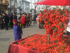 Qingchen Shan vendor